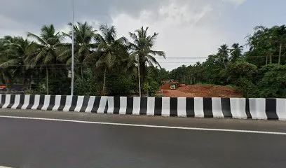 Tyre puncher work