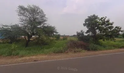 Veera tyres