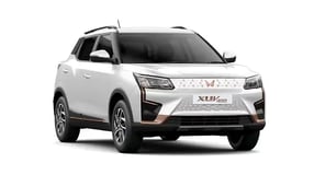 Everest White Color