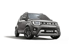 Ignis Glistening Grey Color