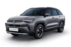 Victoris Splendid Silver With Black Roof Color