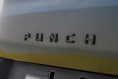 Tata Punch Model Badge
