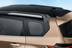 Safari Exterior image